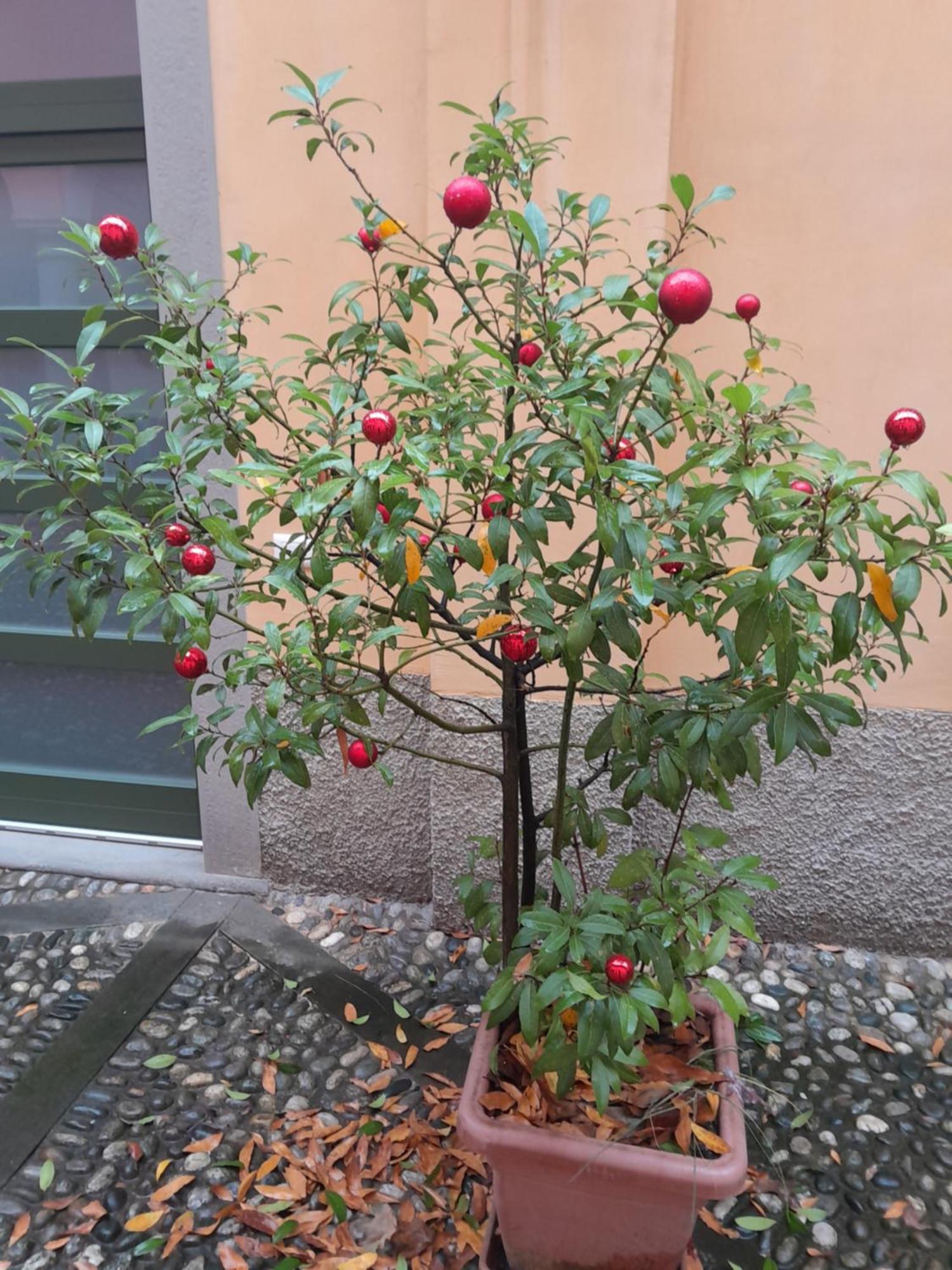 La Corte Dei Cappuccini Bergamo Exteriér fotografie