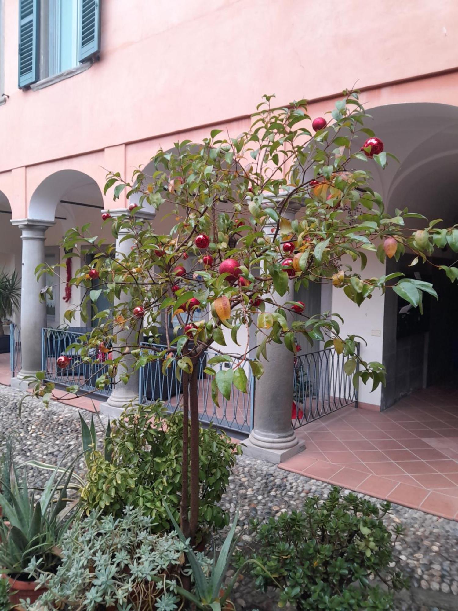 La Corte Dei Cappuccini Bergamo Exteriér fotografie